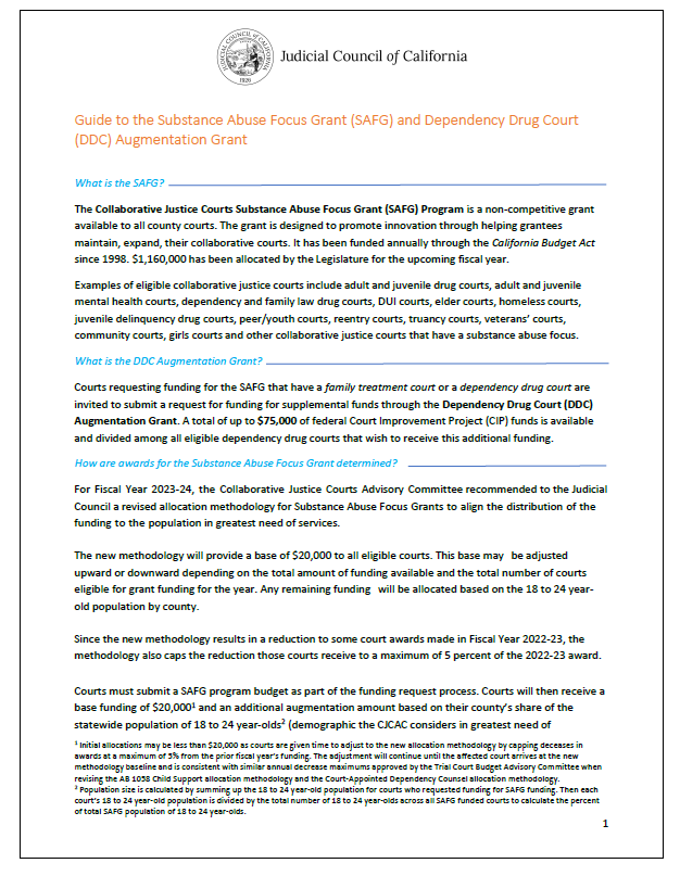 Substance Abuse Focus Grant Infographic Dashboard