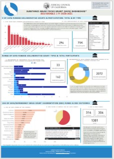 Substance Abuse Focus Grant Infographic Dashboard